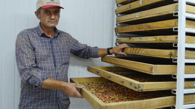 Arkadaşının tavsiyesiyle hobi olarak başladı, şimdi Avrupa'ya ihraç ediyor