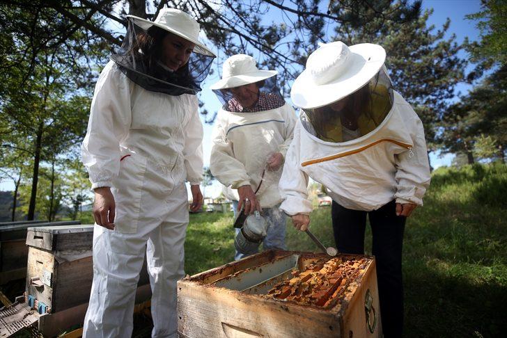 Emekli öğretmen profesyonel arıcı olmak için 60'ında üniversiteyi kazandı G1