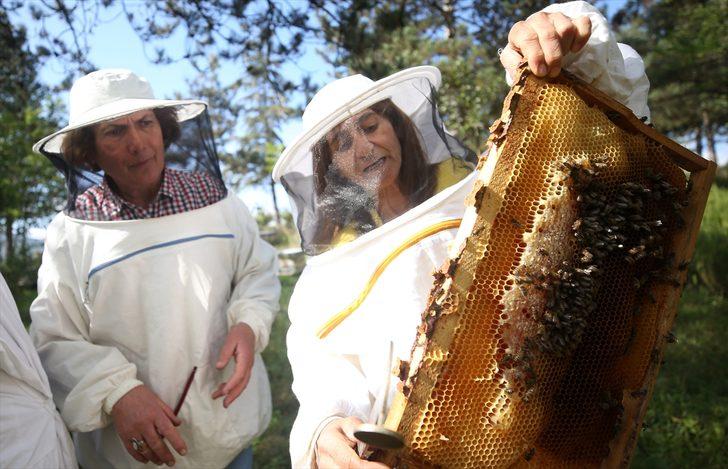Emekli öğretmen profesyonel arıcı olmak için 60'ında üniversiteyi kazandı G2