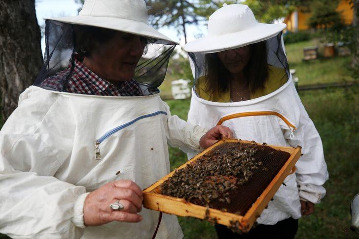 Emekli öğretmen profesyonel arıcı olmak için 60'ında üniversiteyi kazandı G3