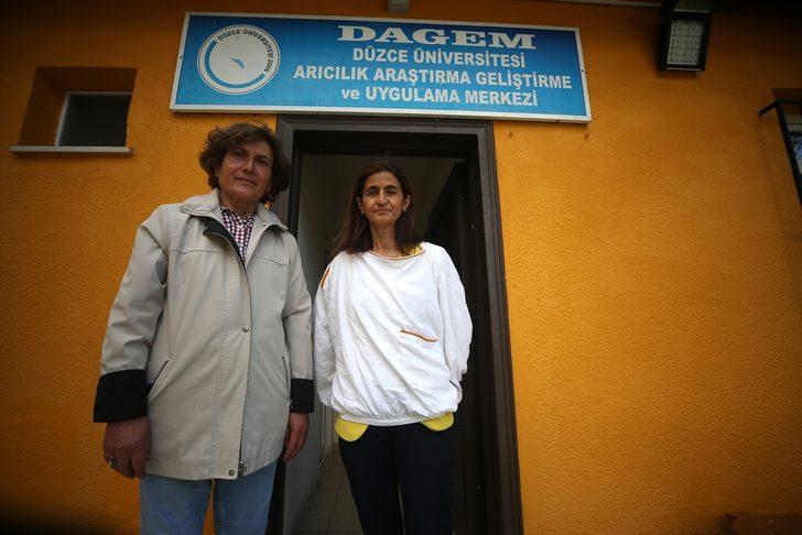 Emekli öğretmen profesyonel arıcı olmak için 60'ında üniversiteyi kazandı G5