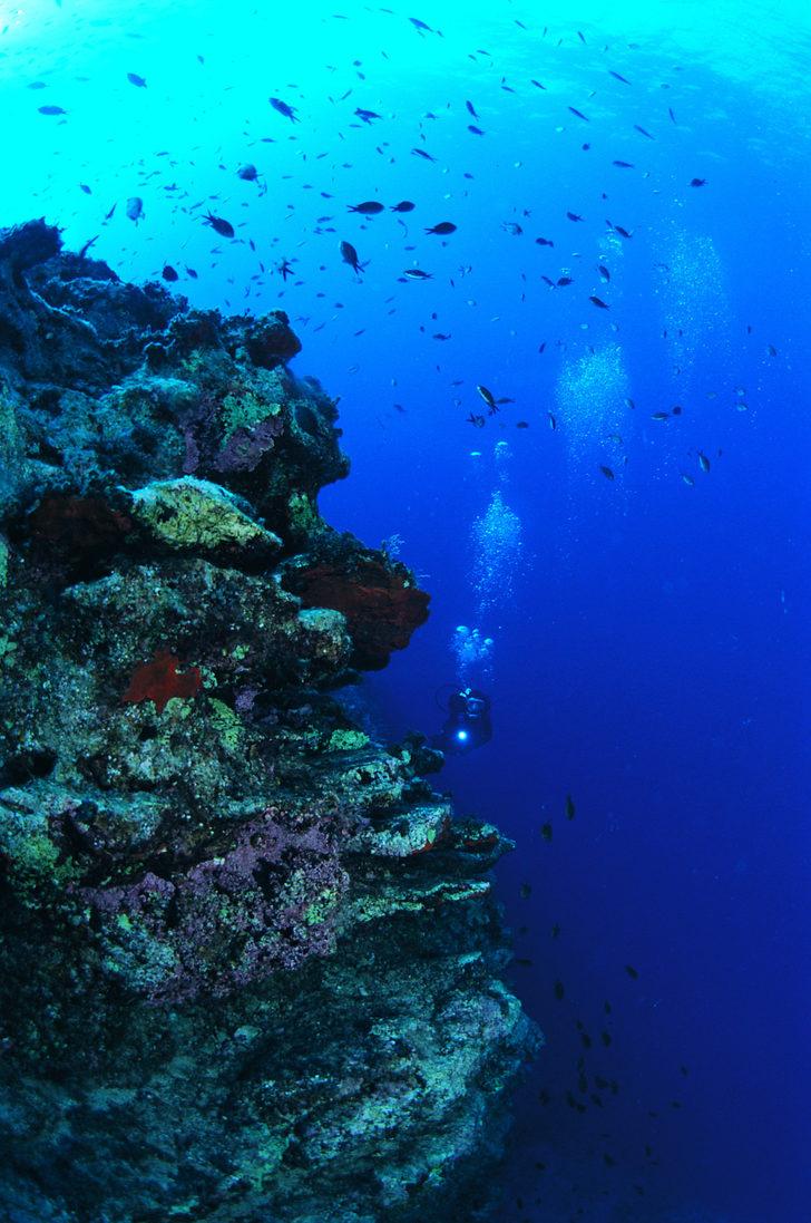 TÜDAV: Türkiye'nin ilk ve tek sualtı parkının bulunduğu Gökçeada Yıldız Koy'u imara açılmamalı G3