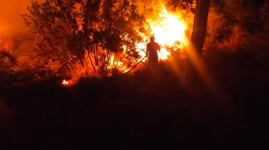 Bodrum'da &ccedil;ıkan orman yangını s&ouml;nd&uuml;r&uuml;ld&uuml;