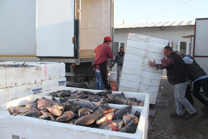 Beyşehirli balıkçılar Çin sazanıyla yurt dışına açıldı G1