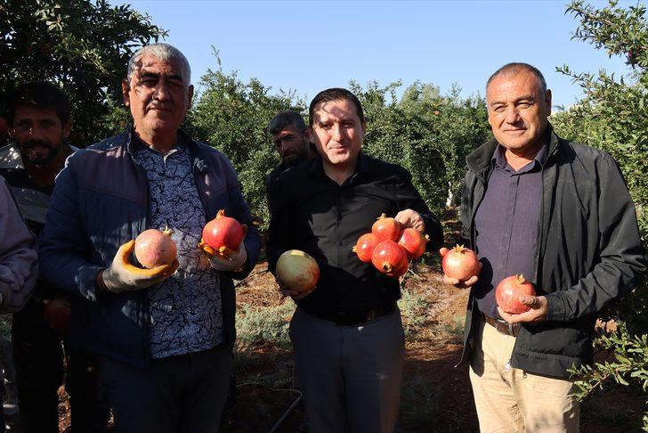 Kilis'in "Hicaz narı" Avrupa ülkeleri ve Irak'a ihraç edilecek G3