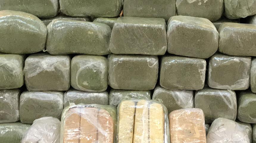 Uyuşturucu operasyonunda şaşırtan detay! Naneyle kamufle etmişler