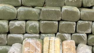 Uyuşturucu operasyonunda şaşırtan detay! Naneyle kamufle etmişler