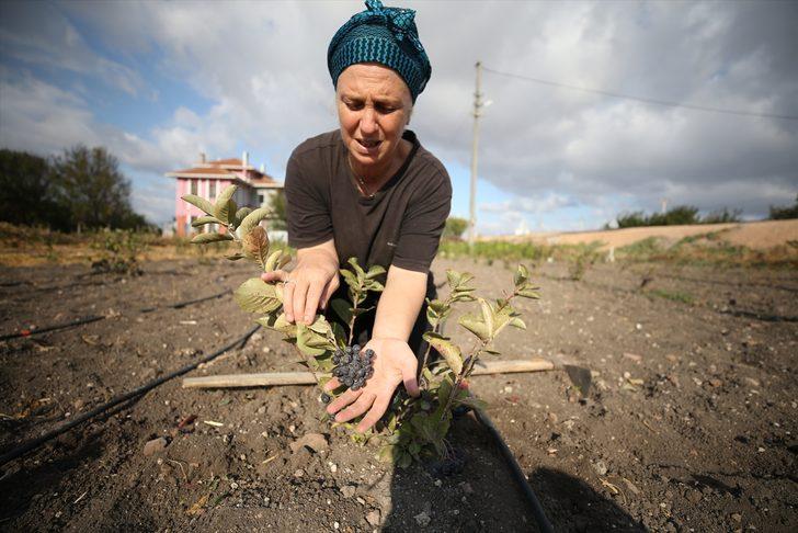 Mega kentten kaçtı, bambaşka bir hayata başladı! Şimdi yurt dışına ürün ihraç etmeye hazırlanıyor G1