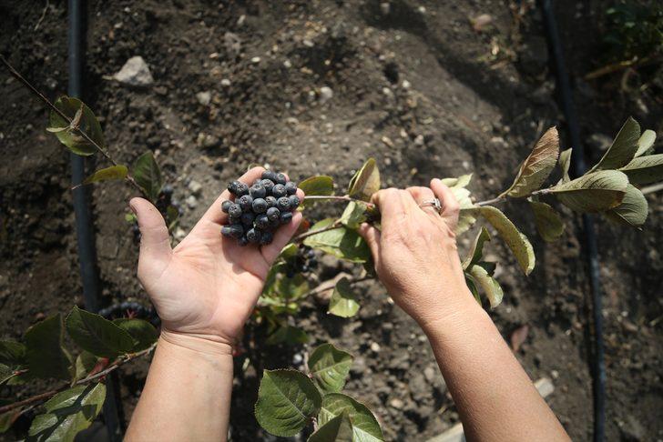 Mega kentten kaçtı, bambaşka bir hayata başladı! Şimdi yurt dışına ürün ihraç etmeye hazırlanıyor G3