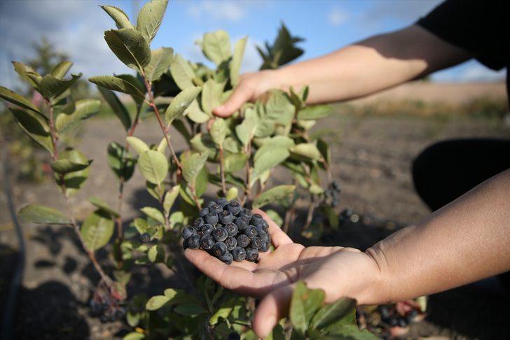 Mega kentten kaçtı, bambaşka bir hayata başladı! Şimdi yurt dışına ürün ihraç etmeye hazırlanıyor G4