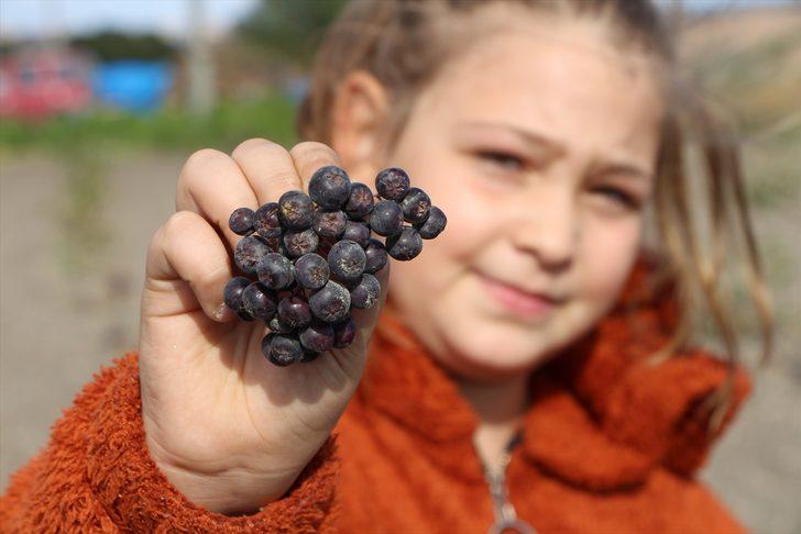Mega kentten kaçtı, bambaşka bir hayata başladı! Şimdi yurt dışına ürün ihraç etmeye hazırlanıyor G5
