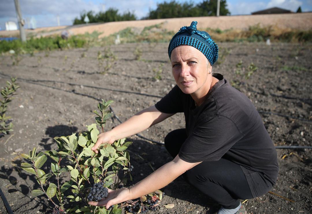 Mega kentten ka&ccedil;tı, bambaşka bir hayata başladı! Şimdi yurt dışına &uuml;r&uuml;n ihra&ccedil; etmeye hazırlanıyor