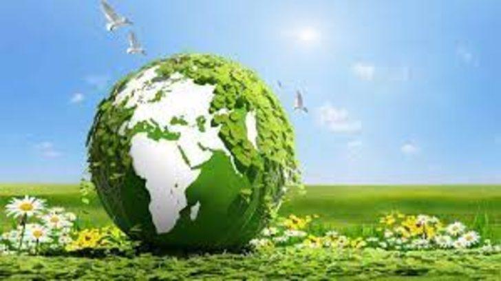 Yeşil Kalkınma Devrimi nedir? Yeşil Kalkınma Devrimi ne anlama geliyor ve neyi kapsıyor? G2