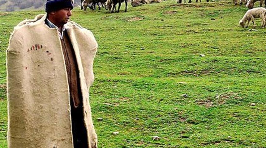 Manyas'ta çoban maaşları 300 milyon liraya yükseldi  