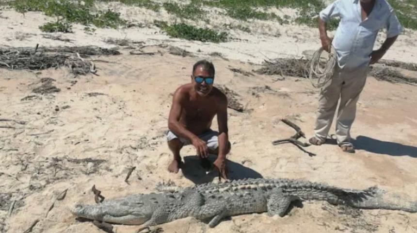 Gizemli keşif! Kıyıya vuran timsah şaşkına çevirdi: İlk kez karşılaşıyoruz