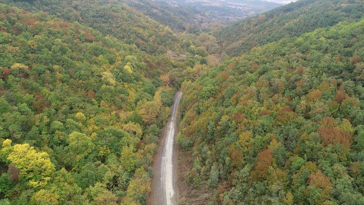 Ganos Dağı eteklerindeki ormanlar sonbahar renklerine büründü G1