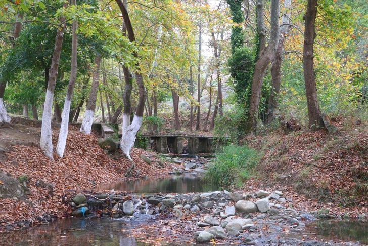 Ganos Dağı eteklerindeki ormanlar sonbahar renklerine büründü G2