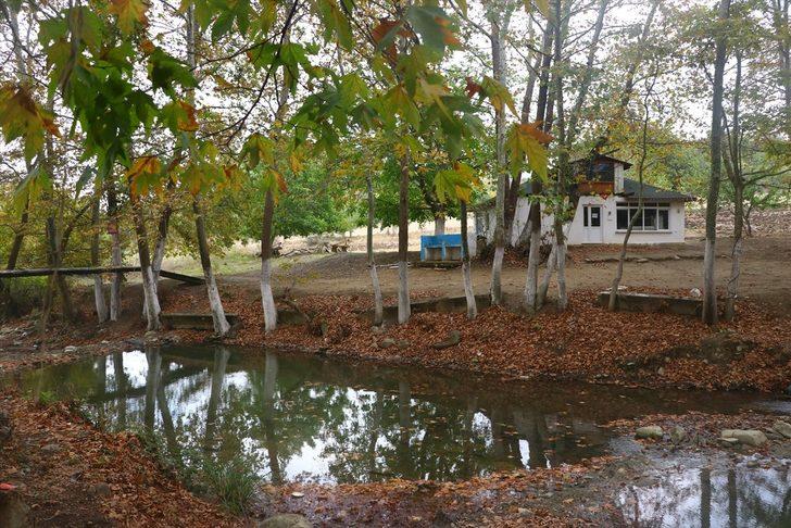 Ganos Dağı eteklerindeki ormanlar sonbahar renklerine büründü G3