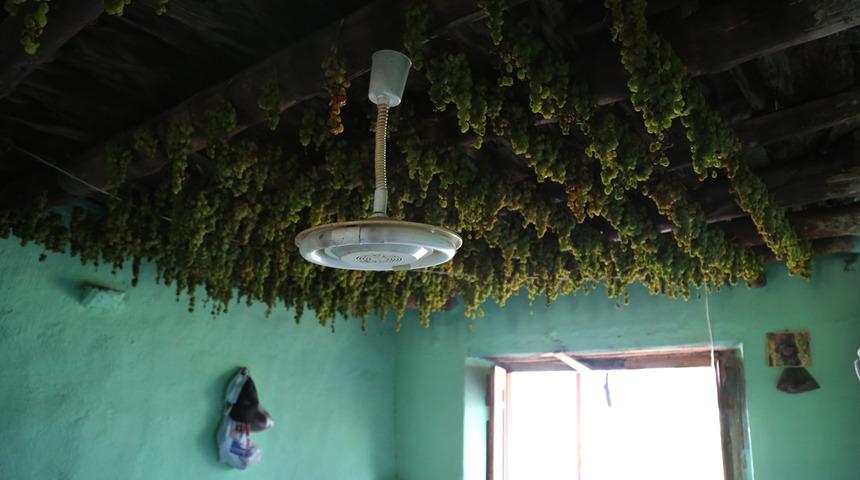 Torosların gök üzümü! Bir ayda kuruyor, tavanlara asılıyor: Meraklısı çok