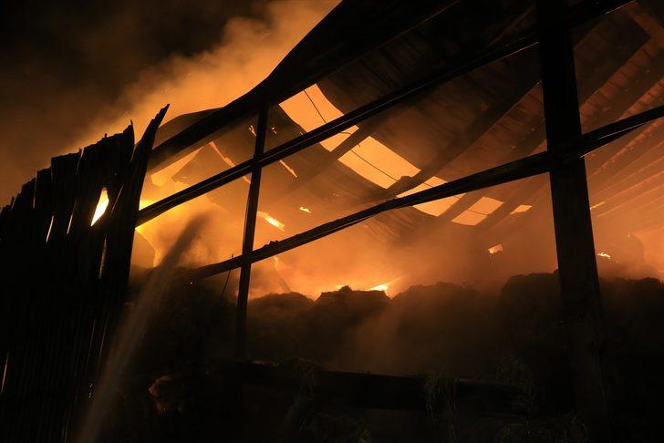 GÜNCELLEME - Kırklareli'nde hayvan çiftliğinde çıkan yangın kontrol altına alındı G4