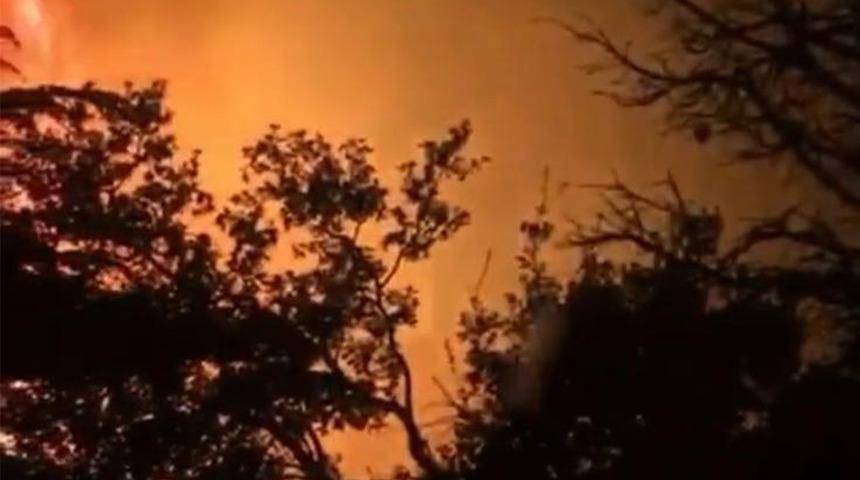 Kemer'de korkutan orman yangını