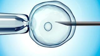 Tüp bebek tedavisi ne zaman gereklidir?