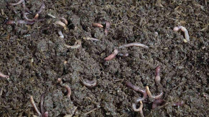 Hobi olarak başladı, yurt dışına açılmaya hazırlanıyor!  G4