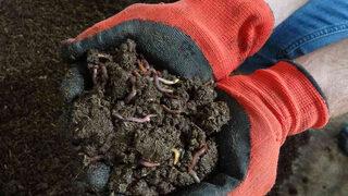 Hobi olarak başladı, yurt dışına açılmaya hazırlanıyor! 