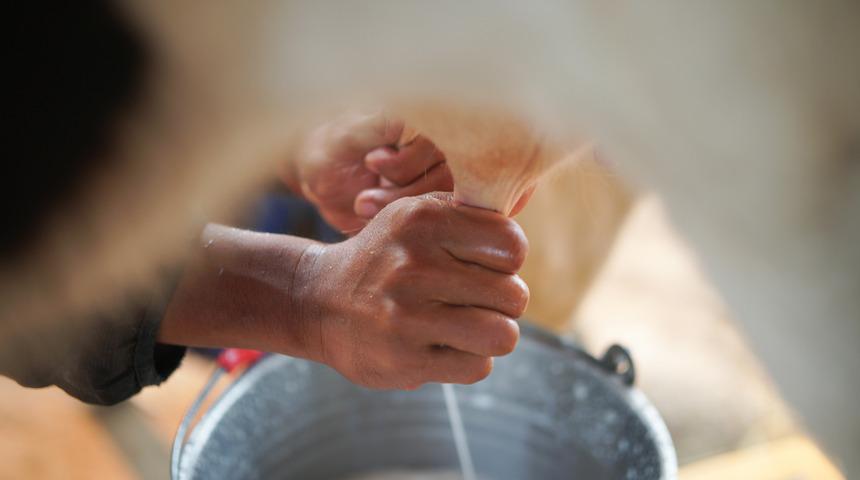 İnek sağarken elektrik çarptı      