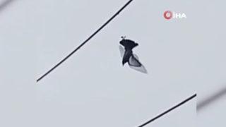 Elektrik tellerine takılan güvercini, bıçak bağlanan drone ile böyle kurtardılar