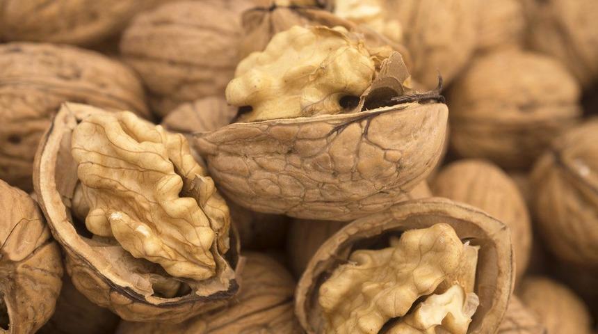 Ceviz: O bir mucize besin