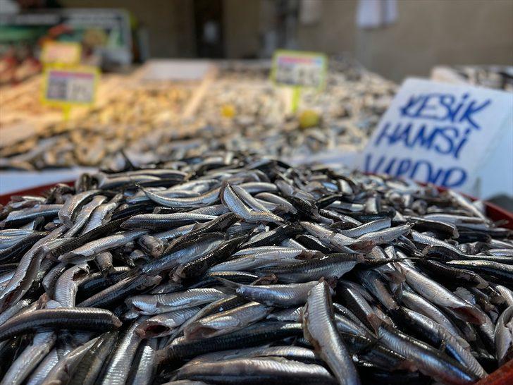 Trabzon'da kilogramı 10 liradan satılan hamsi balıkçı ve tüketiciyi mutlu etti G3