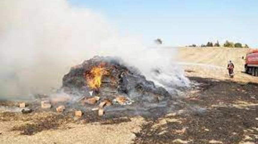 Şehir &ccedil;&ouml;pl&uuml;ğ&uuml; zehir sa&ccedil;ıyor