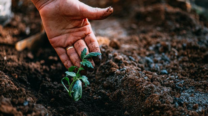 Trakya toprağı zehirleniyor