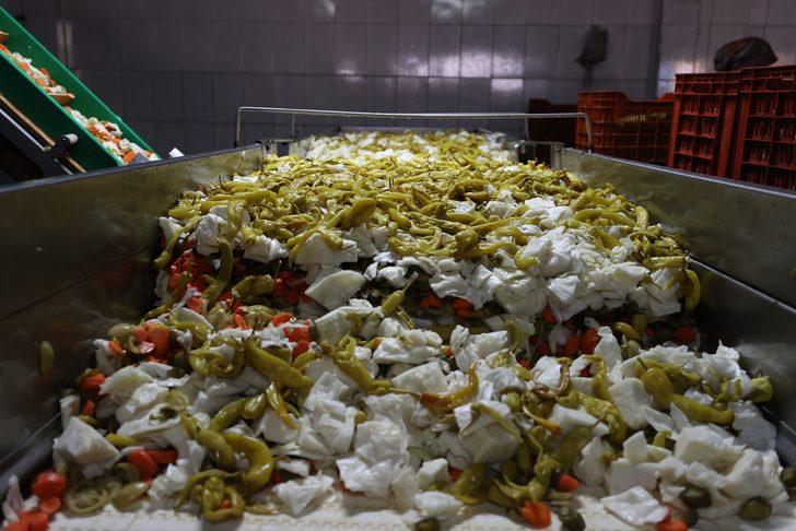 Burası Bursa! 50 bin ton turşu yapılıyor, 100 ülkeye gönderiliyor: Köyün nüfusu 5 bine çıktı G3