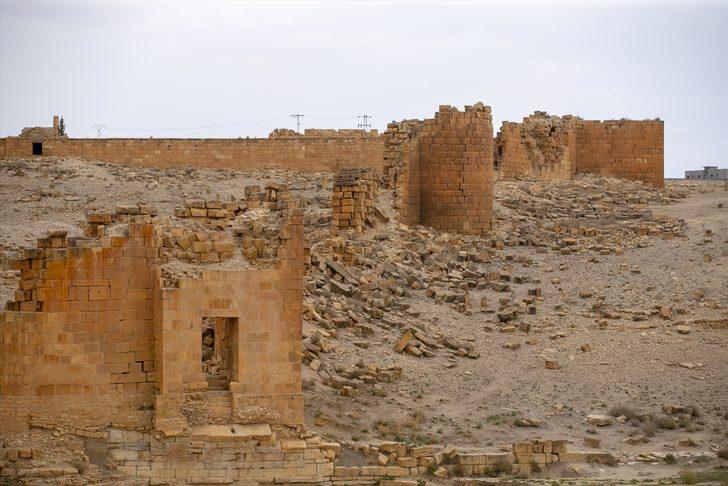 Romalı savaşçıların Tunus'taki 2 bin yıllık kenti: Emidra G3