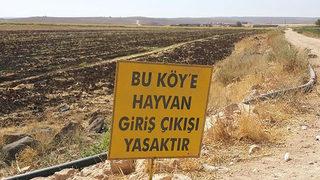 Adıyaman'da bir ilçede kuduz paniği! 6 ay boyunca yasaklandı