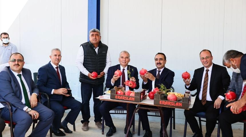 Tarım ve Orman Bakan Yardımcısı Özkaldı, Denizli'de incelemelerde bulundu