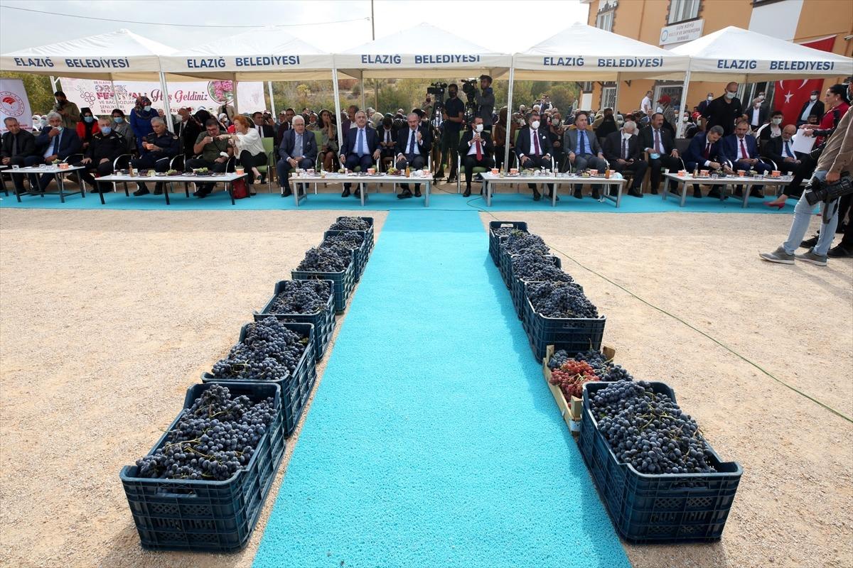 Elazığ'da 15. Geleneksel Orcik ve Bağ Bozumu Festivali yapıldı