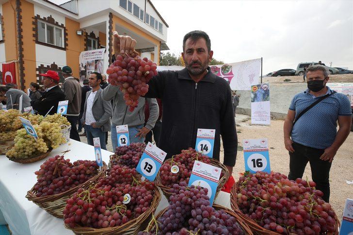 Elazig Da 15 Geleneksel Orcik Ve Bag Bozumu Festivali Yapildi Elazig Haberleri