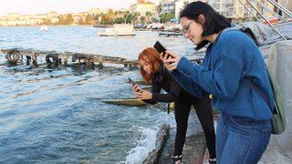 Her yeri kapladı! Görenler telefonuna sarıldı