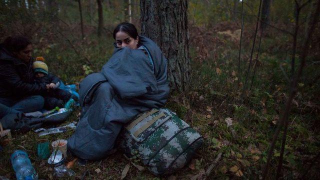 Polonya-Belarus sınırındaki göçmenler