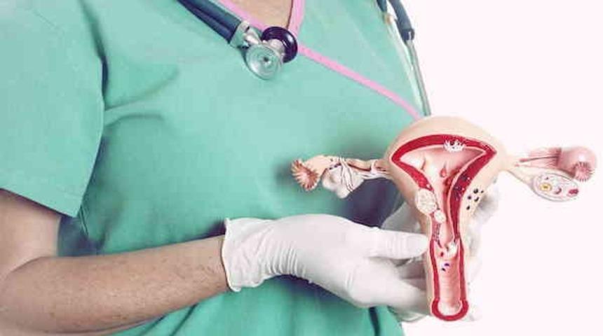 Yaşlandıkça yumurta sayısı düşüyor