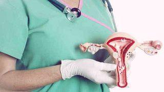 Yaşlandıkça yumurta sayısı düşüyor