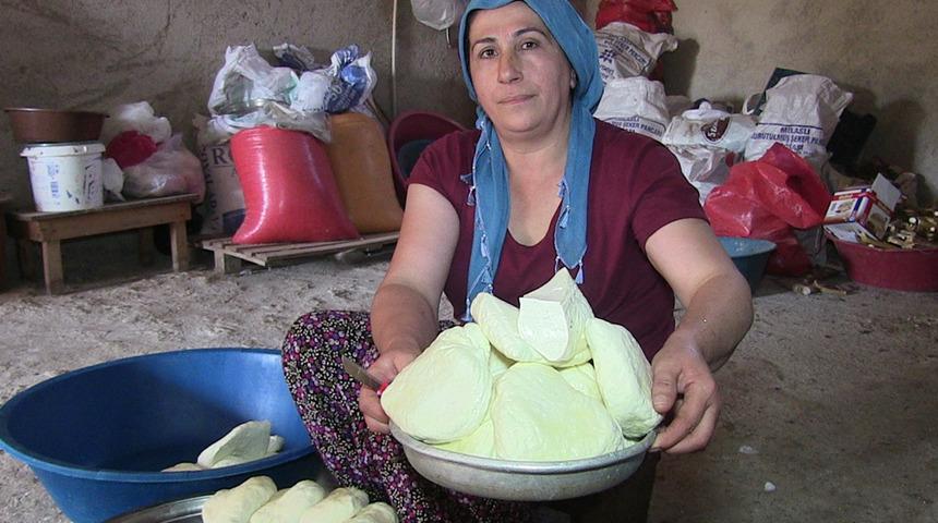Müşterileri Almanya, İngiltere ve Kanada! İşe iki inekle başladı, hayatı değişti