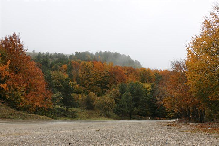 Abant'ın sonbahar renkleri havadan görüntülendi G2