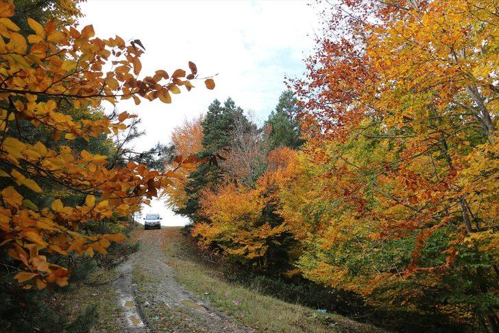 Abant'ın sonbahar renkleri havadan görüntülendi G3