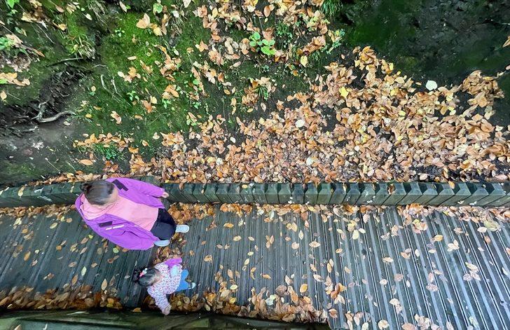 Düzce'deki Aydınpınar Şelalesi Tabiat Parkı'nda sonbahar güzelliği G1