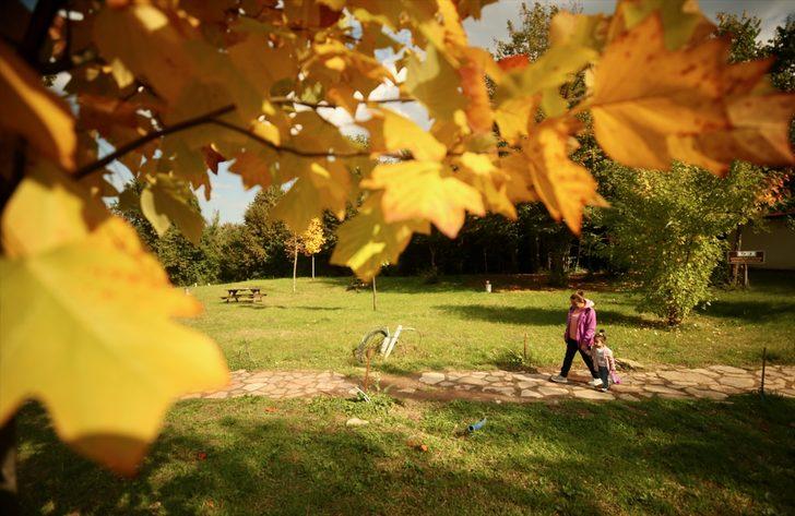 Düzce'deki Aydınpınar Şelalesi Tabiat Parkı'nda sonbahar güzelliği G2