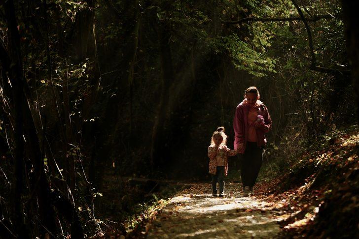 Düzce'deki Aydınpınar Şelalesi Tabiat Parkı'nda sonbahar güzelliği G3